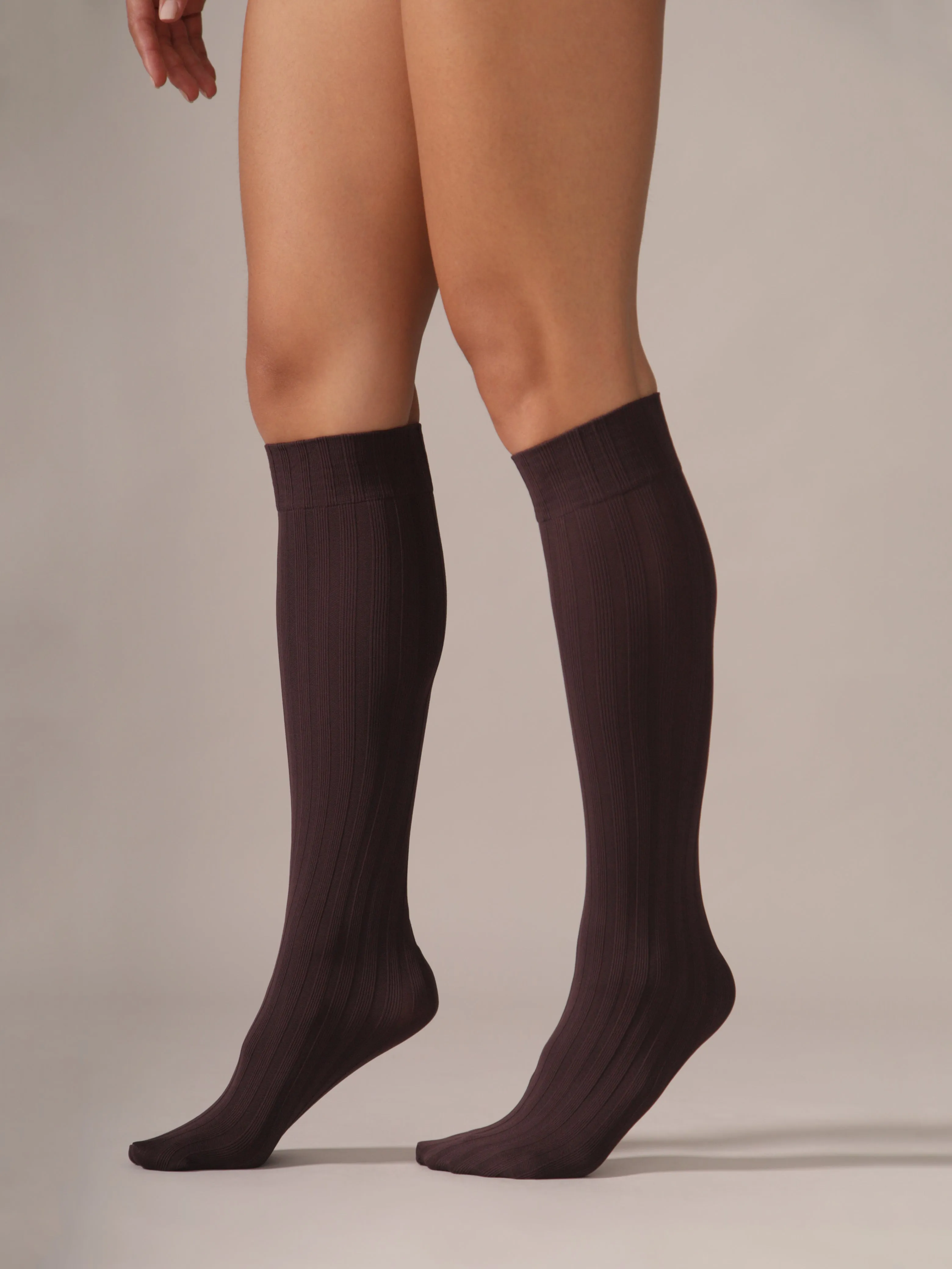 Wide Rib Opaque Socks in Plum